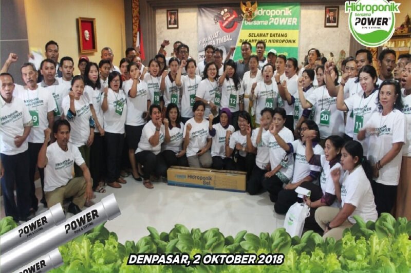 Hidroponik: Solusi Ramah Lingkungan untuk Pertanian Masa Depan