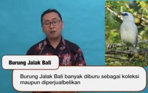 Menjelajahi Dunia yang Terancam: Hewan yang Hampir Punah dan Upaya Konservasi yang Krusial