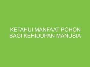 Pohon: Sumber Kehidupan dan Pilar Kesejahteraan Manusia