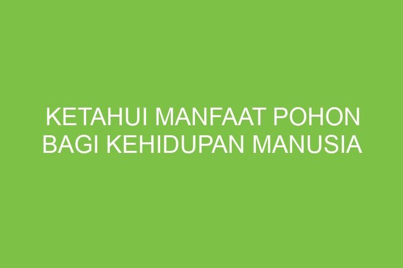 Pohon: Sumber Kehidupan dan Pilar Kesejahteraan Manusia