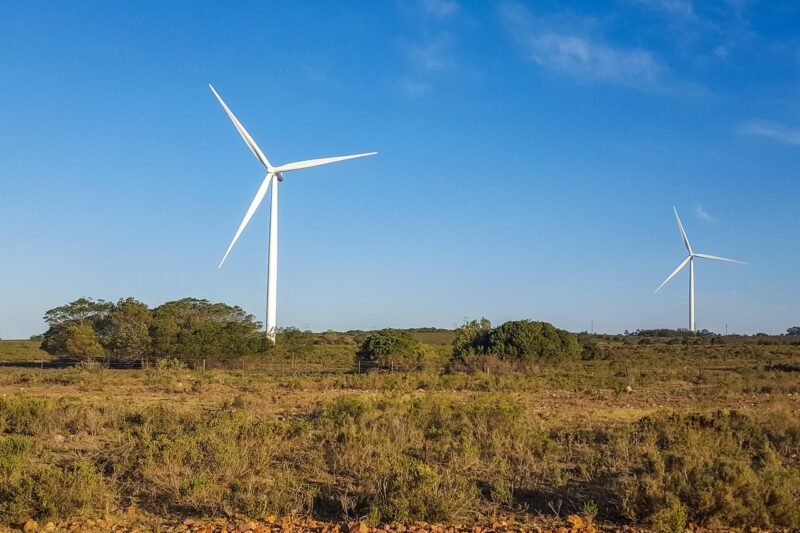 Politik Energi Hijau 2025: Ambisi, Tantangan, dan Realitas yang Membentuk Masa Depan Berkelanjutan