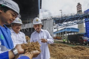 Politik Energi Terbarukan 2025: Ambisi, Tantangan, dan Realitas