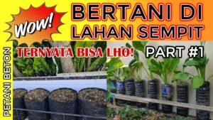 Bertani di Lahan Sempit: Solusi Cerdas untuk Ketahanan Pangan dan Gaya Hidup Berkelanjutan