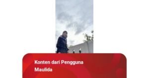 Pengaruh Selebriti dalam Politik: Antara Popularitas dan Substansi