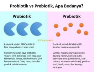 Perbedaan Antara Probiotik dan Prebiotik