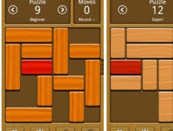 Asah Otak Sambil Bersenang-senang: Mengapa Game Puzzle Baik untuk Kesehatan Kognitif Anda