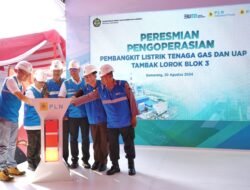 Era Baru Kecerdasan Buatan: Perkembangan Terkini dan Dampaknya yang Semakin Luas