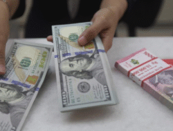 Pekan Terakhir November Dividen Cair